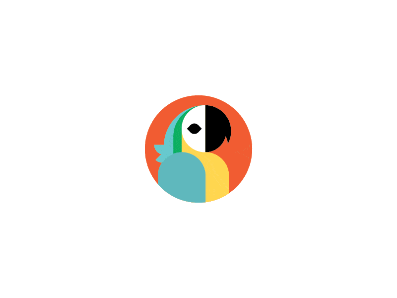 Blue-and-Yellow-Macaw-by-Fuzzco-1.gif